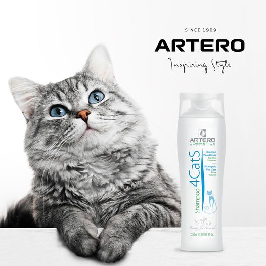 Kaal veerboot Kritisch Artero Shampoo Kat 250 ml. | Koll Grooming Products